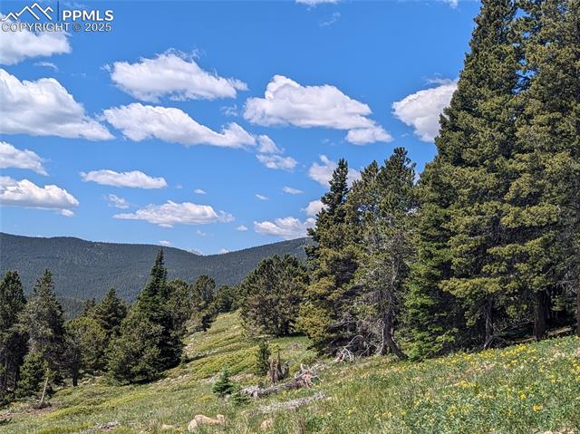 UPPER APEX Road