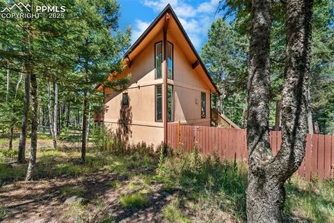 Tiny photo for 57 Granite Road, Florissant, CO 80816 (MLS # 2096430)