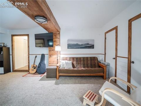 Tiny photo for 57 Granite Road, Florissant, CO 80816 (MLS # 2096430)