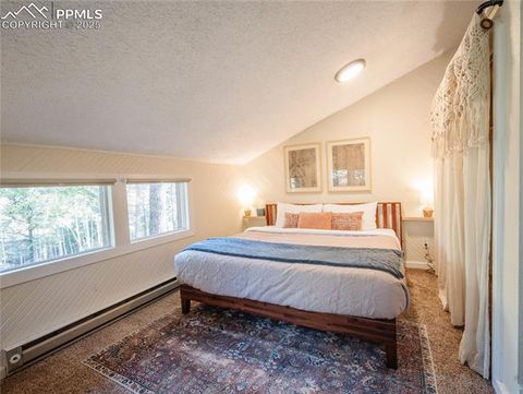 Tiny photo for 57 Granite Road, Florissant, CO 80816 (MLS # 2096430)