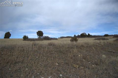Photo of Rosemoore Drive, Colorado City, CO 81069 (MLS # 9318871)