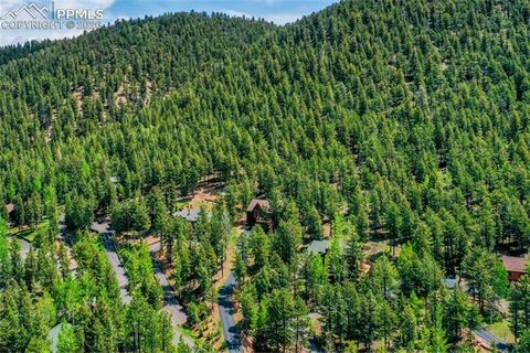 Tiny photo for 1321 Forest Edge Road, Woodland Park, CO 80863 (MLS # 4717468)