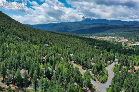Tiny photo for 1321 Forest Edge Road, Woodland Park, CO 80863 (MLS # 4717468)