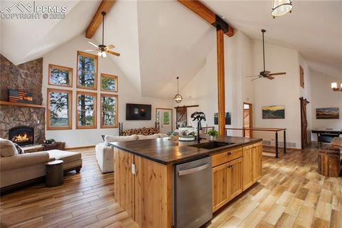Tiny photo for 1321 Forest Edge Road, Woodland Park, CO 80863 (MLS # 4717468)