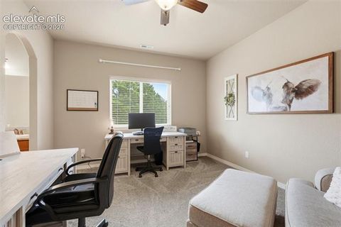 Tiny photo for 233 Coyote Willow Drive, Colorado Springs, CO 80921 (MLS # 9141367)