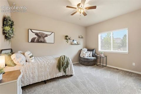 Tiny photo for 233 Coyote Willow Drive, Colorado Springs, CO 80921 (MLS # 9141367)