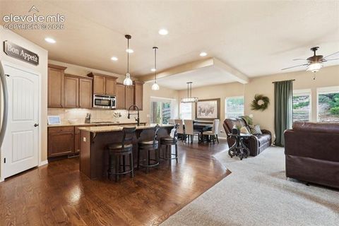Tiny photo for 233 Coyote Willow Drive, Colorado Springs, CO 80921 (MLS # 9141367)
