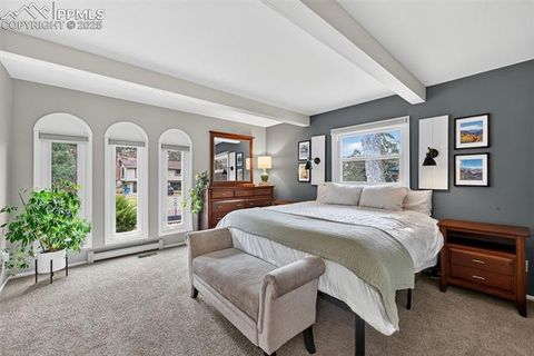 Tiny photo for 3102 Brenner Place, Colorado Springs, CO 80917 (MLS # 8742763)