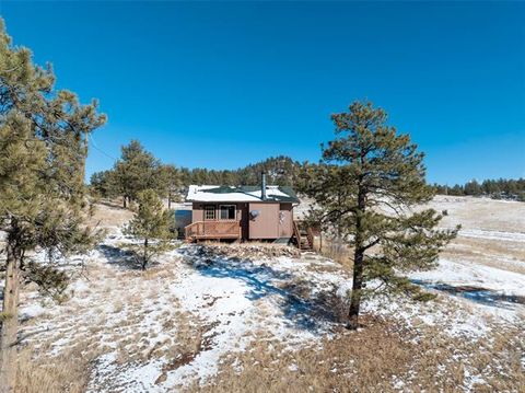 Tiny photo for 11 Valley Circle, Guffey, CO 80820 (MLS # 8337314)