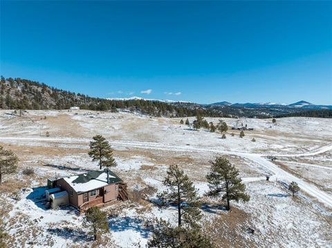 Photo of 11 Valley Circle, Guffey, CO 80820 (MLS # 8337314)