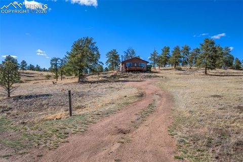 Photo of 11 Valley Circle, Guffey, CO 80820 (MLS # 8337314)