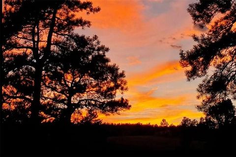 Tiny photo for 11 Valley Circle, Guffey, CO 80820 (MLS # 8337314)