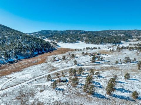 Tiny photo for 11 Valley Circle, Guffey, CO 80820 (MLS # 8337314)