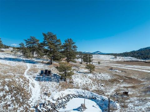 Tiny photo for 11 Valley Circle, Guffey, CO 80820 (MLS # 8337314)