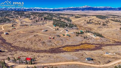 Photo of 679 Apache Trail, Como, CO 80432 (MLS # 8521444)