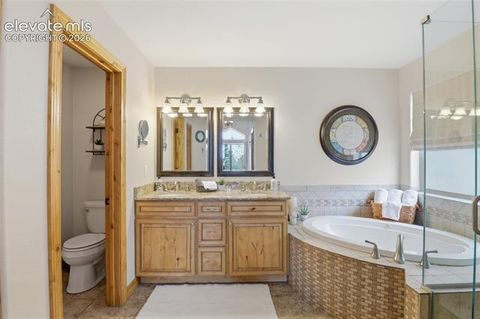 Tiny photo for 220 Eagle Pines Drive, Woodland Park, CO 80863 (MLS # 9837871)