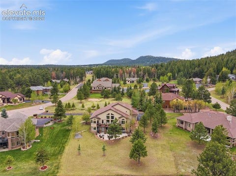 Tiny photo for 220 Eagle Pines Drive, Woodland Park, CO 80863 (MLS # 9837871)