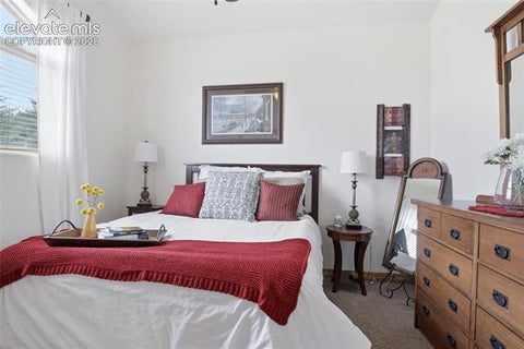 Tiny photo for 220 Eagle Pines Drive, Woodland Park, CO 80863 (MLS # 9837871)