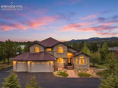 Photo of 220 Eagle Pines Drive, Woodland Park, CO 80863 (MLS # 9837871)