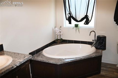 Tiny photo for 23628 Redtail Drive, Colorado Springs, CO 80928 (MLS # 6887320)