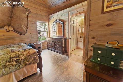 Tiny photo for 155 Squilchuk Trail, Woodland Park, CO 80863 (MLS # 1960949)