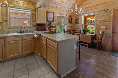Tiny photo for 155 Squilchuk Trail, Woodland Park, CO 80863 (MLS # 1960949)