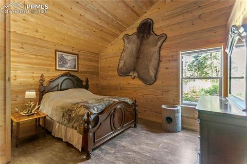 Tiny photo for 155 Squilchuk Trail, Woodland Park, CO 80863 (MLS # 1960949)