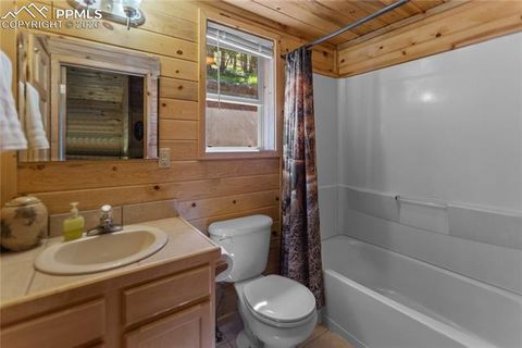 Tiny photo for 155 Squilchuk Trail, Woodland Park, CO 80863 (MLS # 1960949)