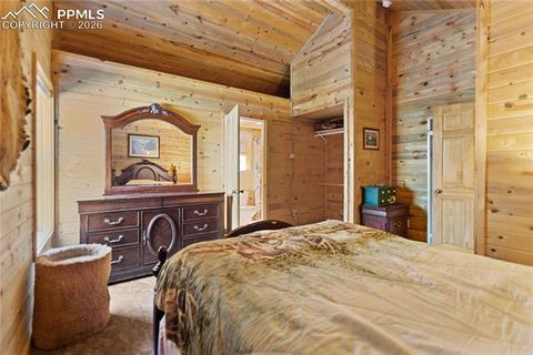 Tiny photo for 155 Squilchuk Trail, Woodland Park, CO 80863 (MLS # 1960949)