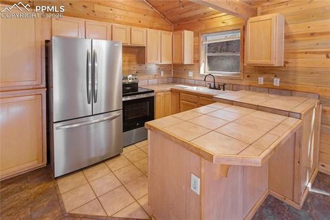 Tiny photo for 155 Squilchuk Trail, Woodland Park, CO 80863 (MLS # 1960949)