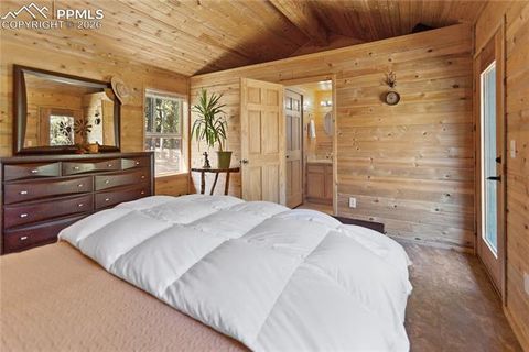 Tiny photo for 155 Squilchuk Trail, Woodland Park, CO 80863 (MLS # 1960949)