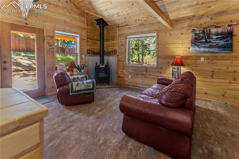 Tiny photo for 155 Squilchuk Trail, Woodland Park, CO 80863 (MLS # 1960949)