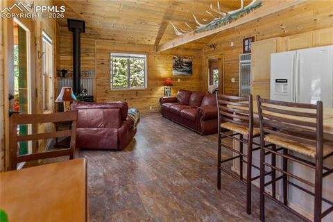 Tiny photo for 155 Squilchuk Trail, Woodland Park, CO 80863 (MLS # 1960949)