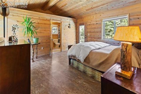 Tiny photo for 155 Squilchuk Trail, Woodland Park, CO 80863 (MLS # 1960949)