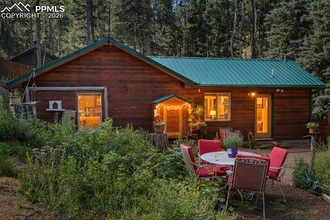 Tiny photo for 155 Squilchuk Trail, Woodland Park, CO 80863 (MLS # 1960949)