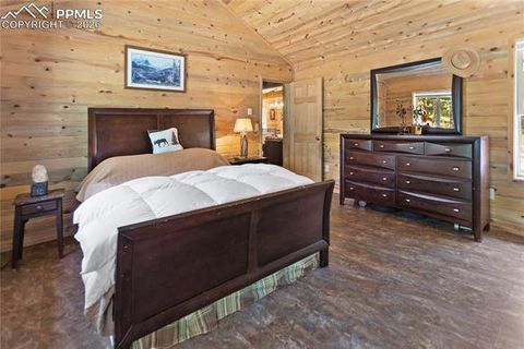 Tiny photo for 155 Squilchuk Trail, Woodland Park, CO 80863 (MLS # 1960949)