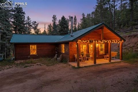 155 Squilchuk Trail Woodland Park CO 80863