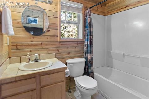 Tiny photo for 155 Squilchuk Trail, Woodland Park, CO 80863 (MLS # 1960949)