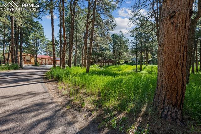 18585 Arrowwood Drive