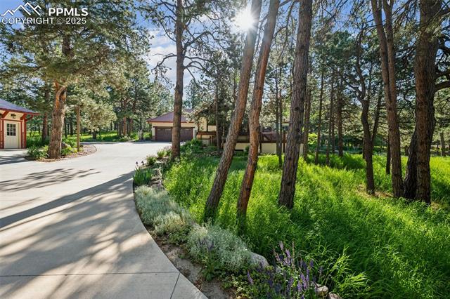 18585 Arrowwood Drive