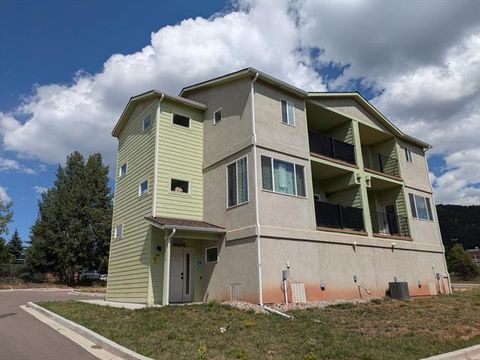Photo of 560 E Grace Avenue, Woodland Park, CO 80863 (MLS # R12188971) Photo of 560 E Grace Avenue, Woodland Park, CO 80863 (MLS # R12188971)