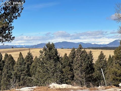 Photo of 4600 Elk Valley Road, Divide, CO 80814 (MLS # 7172717)