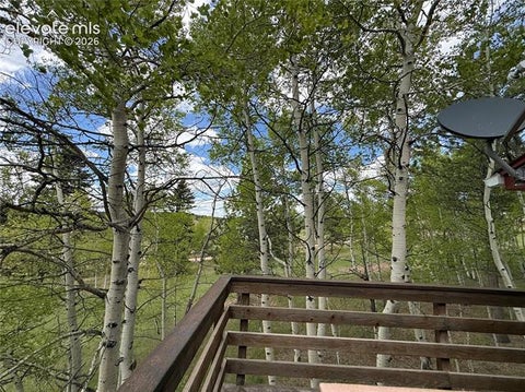 Tiny photo for 741 Elfin Glen Drive, Divide, CO 80814 (MLS # 2031550)