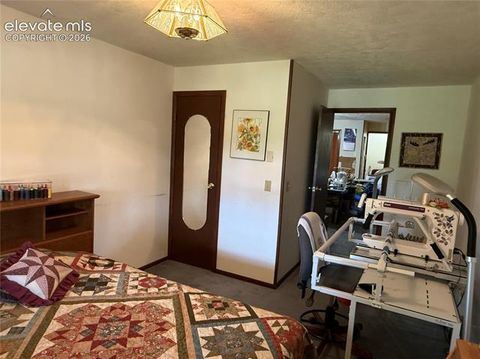Tiny photo for 741 Elfin Glen Drive, Divide, CO 80814 (MLS # 2031550)