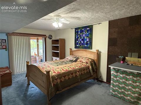 Tiny photo for 741 Elfin Glen Drive, Divide, CO 80814 (MLS # 2031550)