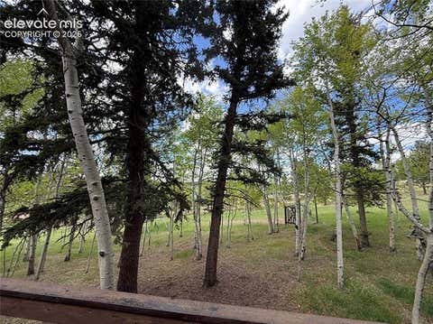 Tiny photo for 741 Elfin Glen Drive, Divide, CO 80814 (MLS # 2031550)