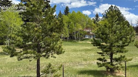 Tiny photo for 741 Elfin Glen Drive, Divide, CO 80814 (MLS # 2031550)