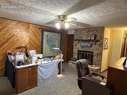 Tiny photo for 741 Elfin Glen Drive, Divide, CO 80814 (MLS # 2031550)