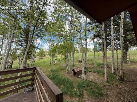 Tiny photo for 741 Elfin Glen Drive, Divide, CO 80814 (MLS # 2031550)