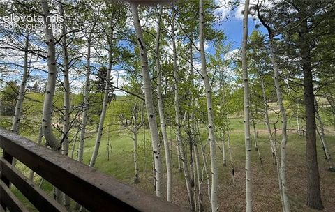 Tiny photo for 741 Elfin Glen Drive, Divide, CO 80814 (MLS # 2031550)